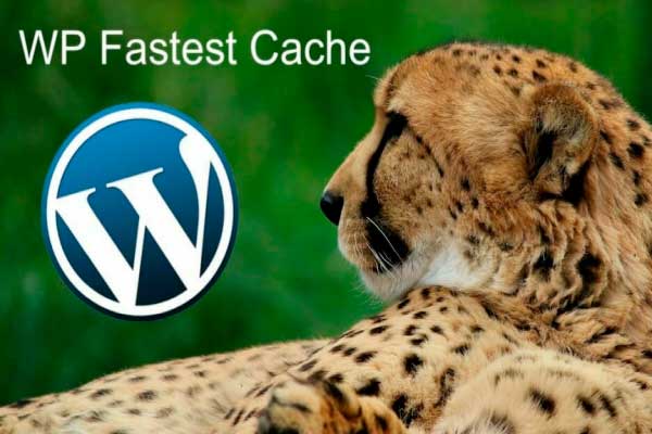 Plugin-WordPress-Fastest-Cahe-Diseño-Web-WordPress