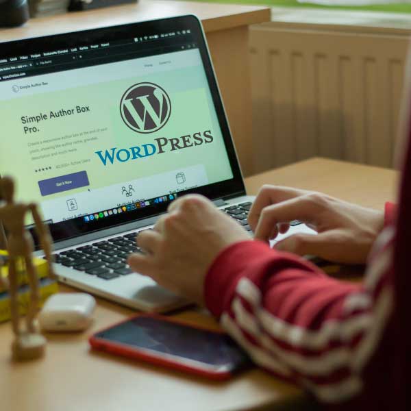 Mejores-temas-WordPress